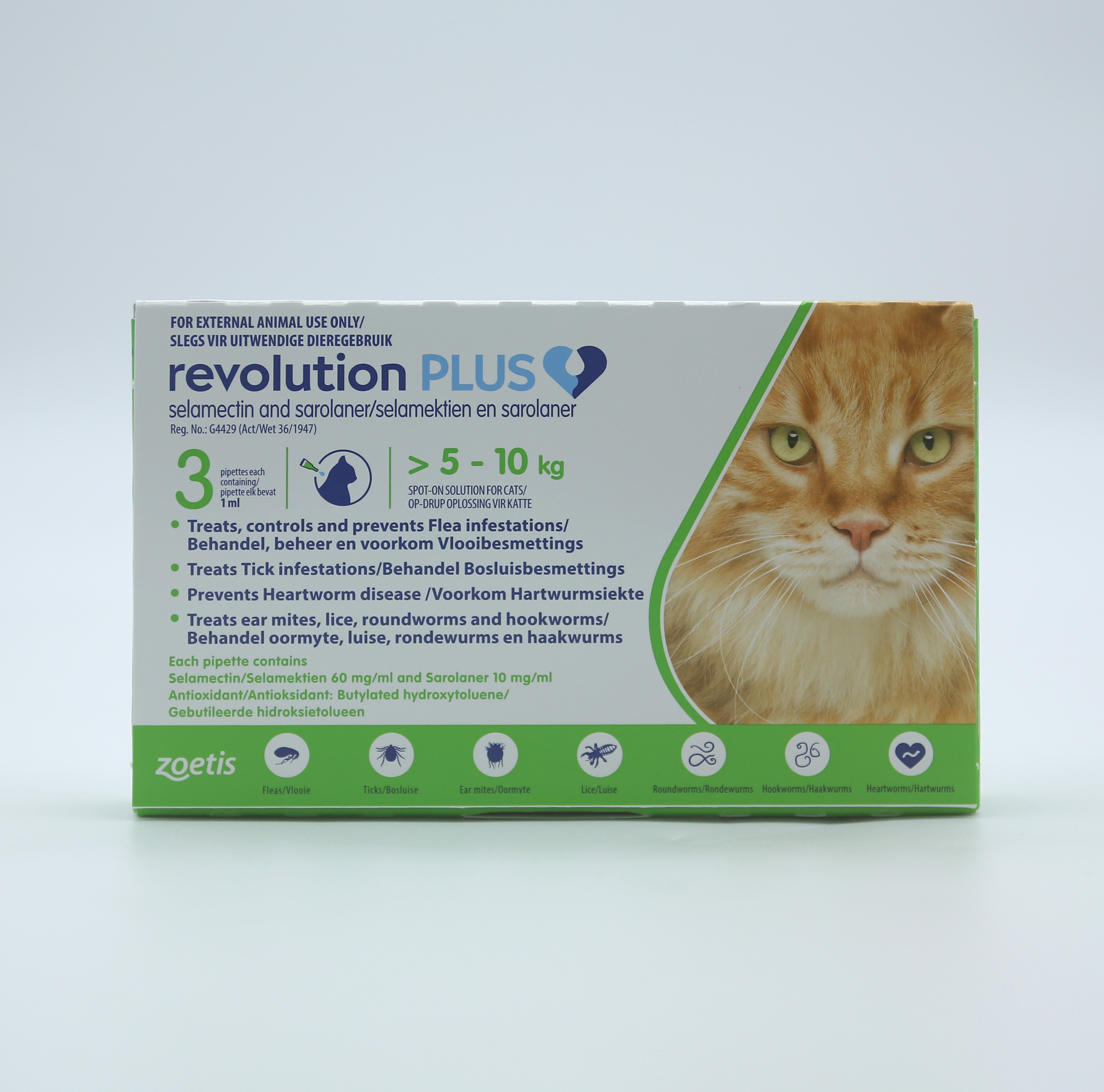 REVOLUTION PLUS GREEN 10024082