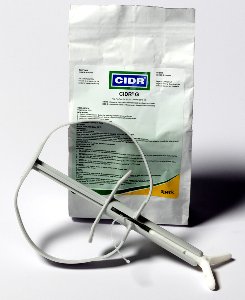 zoetis-product-cidr-g-zoetis-za